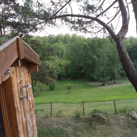 La Cabane En Bois Villemur-sur-Tarn Zewnętrze zdjęcie