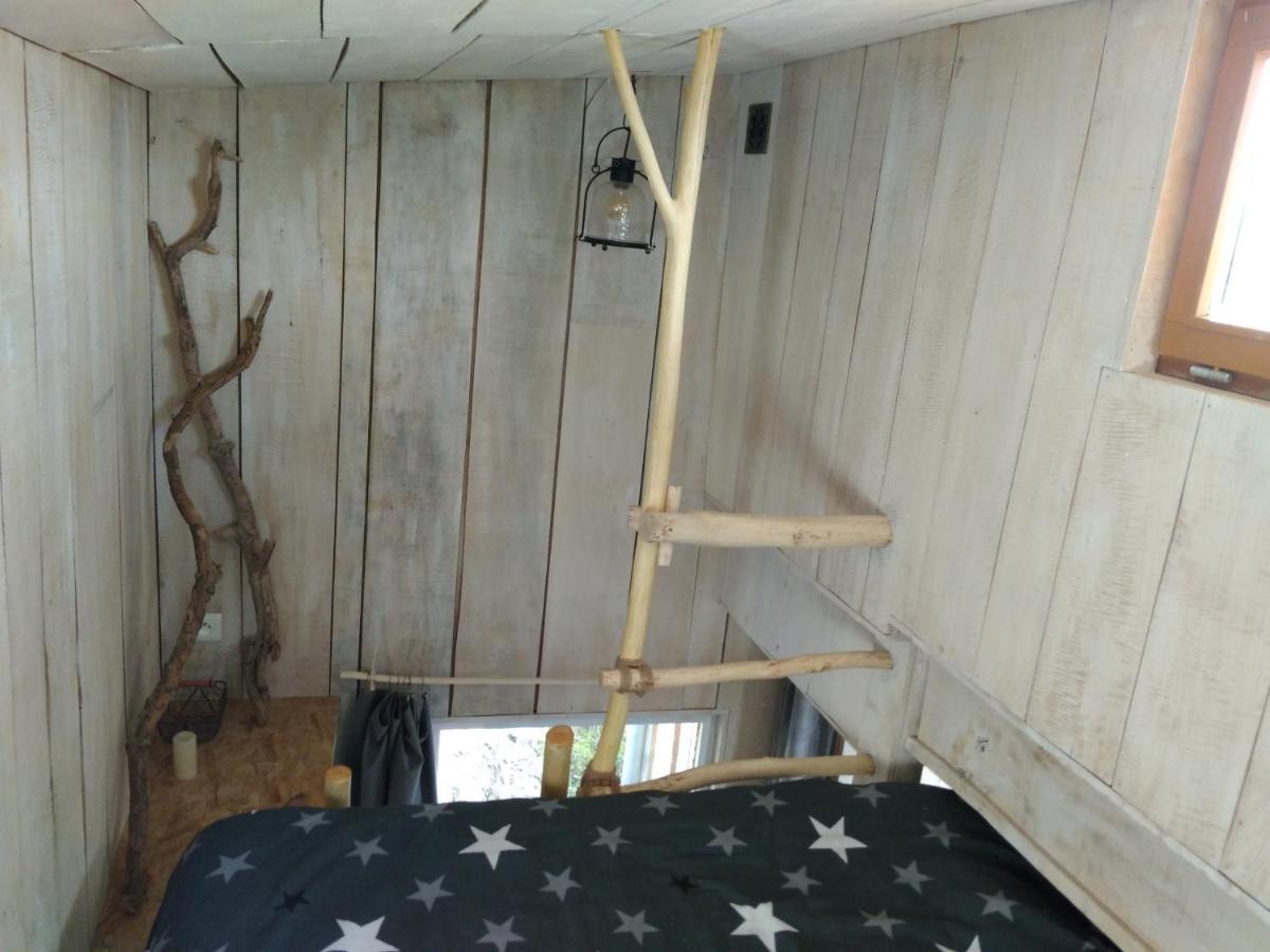 La Cabane En Bois Villemur-sur-Tarn Zewnętrze zdjęcie