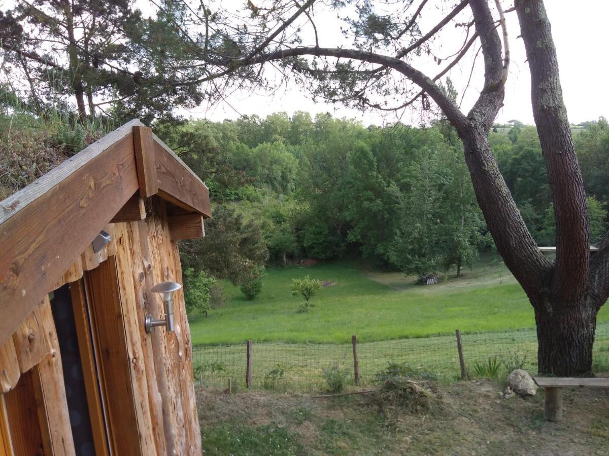 La Cabane En Bois Villemur-sur-Tarn Zewnętrze zdjęcie
