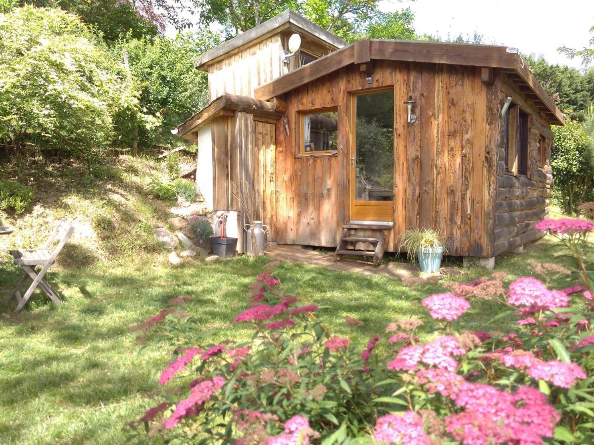 La Cabane En Bois Villemur-sur-Tarn Zewnętrze zdjęcie